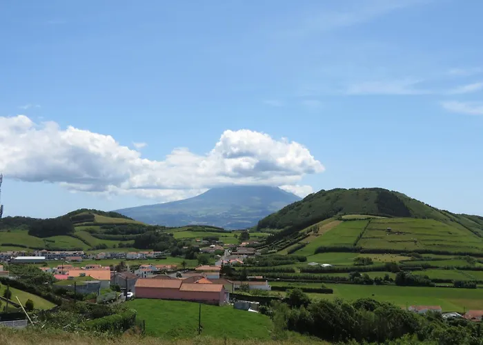 Quinta Do Avo Brum *