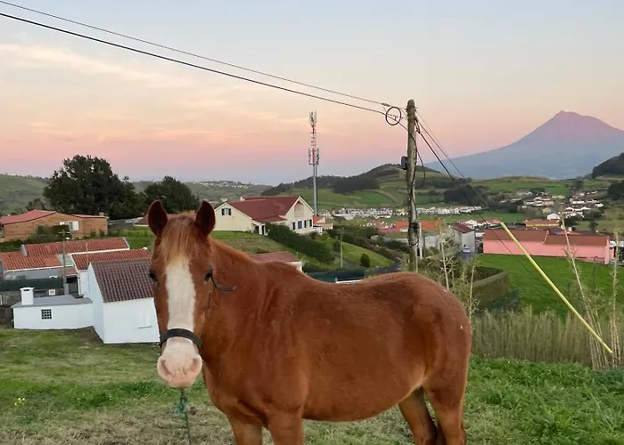 Quinta Do Avo Brum *