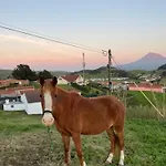 Quinta Do Avo Brum *