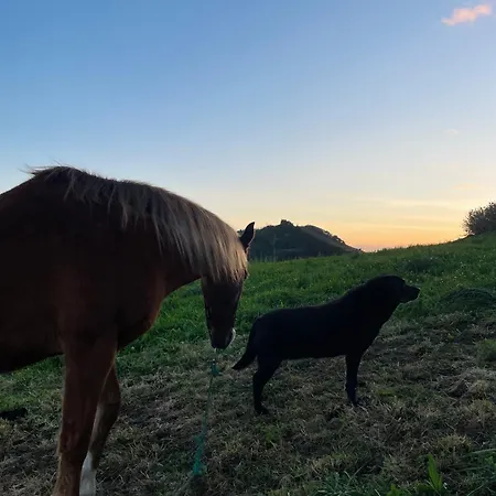 Quinta Do Avo Brum