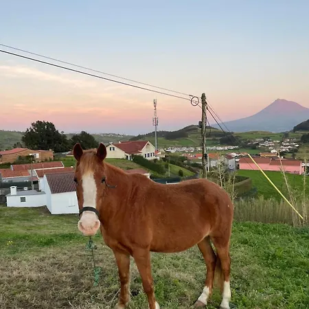 Quinta Do Avo Brum *